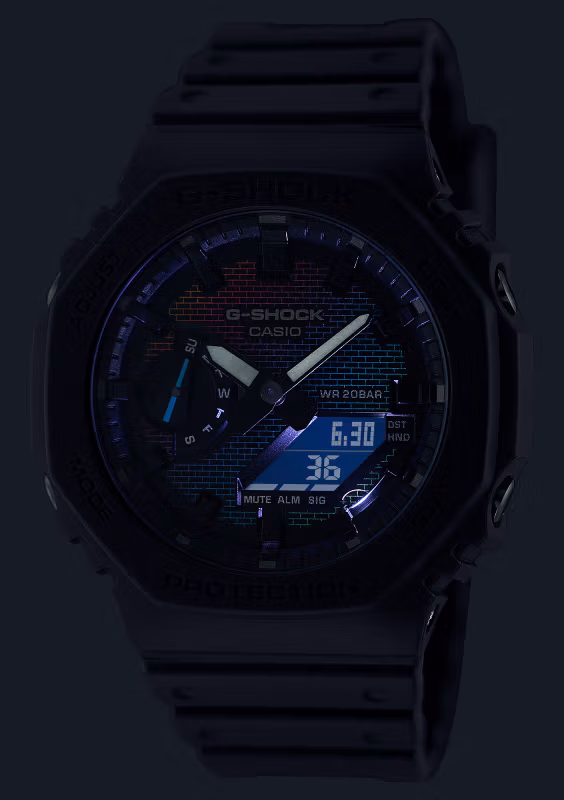 Casio GA-2100RW-1A