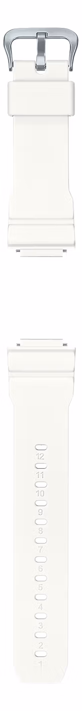 Casio GAE-2100EV-1A
