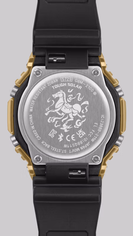 Casio GBM-2100CX-9A