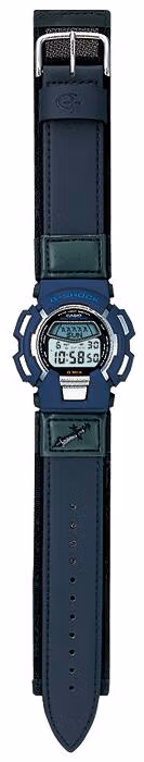 Casio GM-100-2