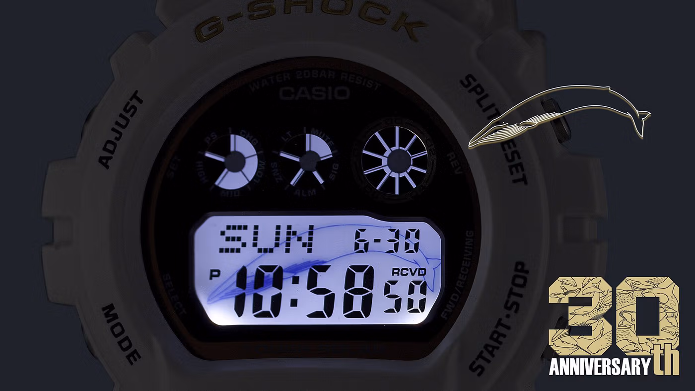 Casio GW-6904K-7