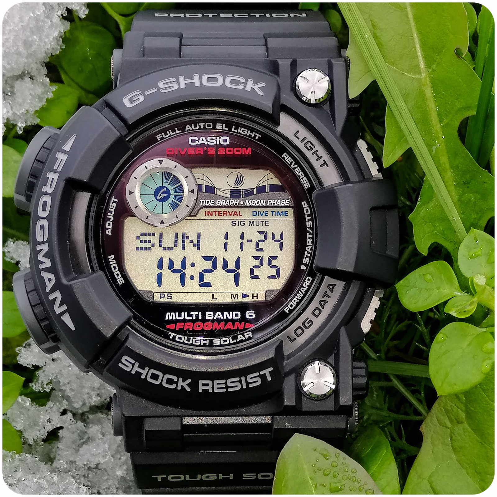 Casio GWF-1000-FROG20