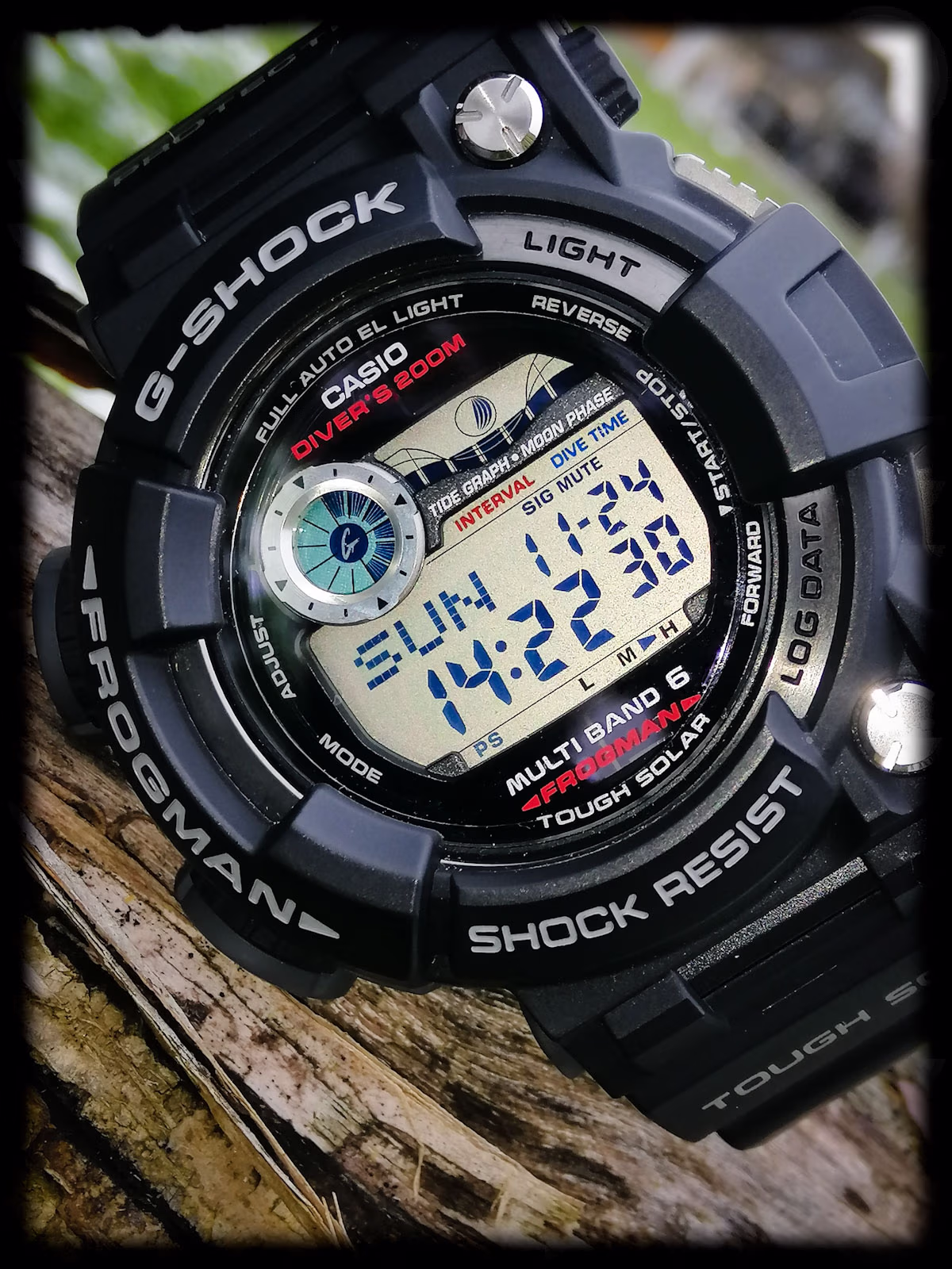 Casio GWF-1000-FROG21