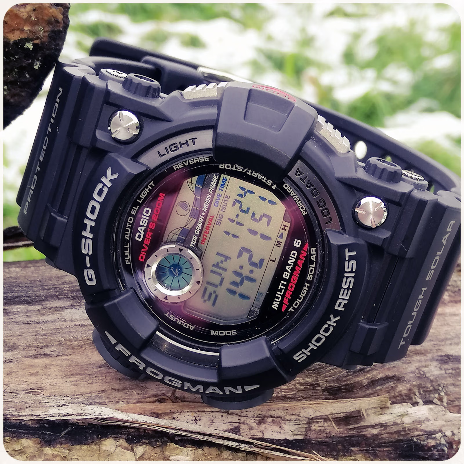 Casio GWF-1000-FROG22