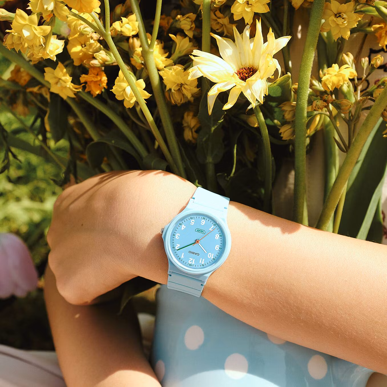 Casio LQ-24B-2B