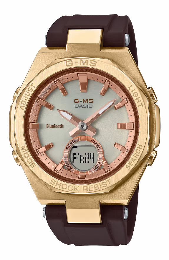 Casio MSG-B100MV-5A
