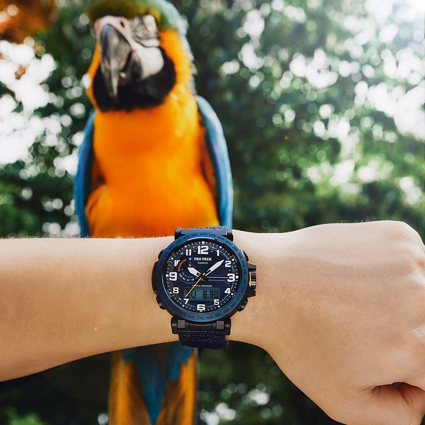 Casio PRG-601YB-2