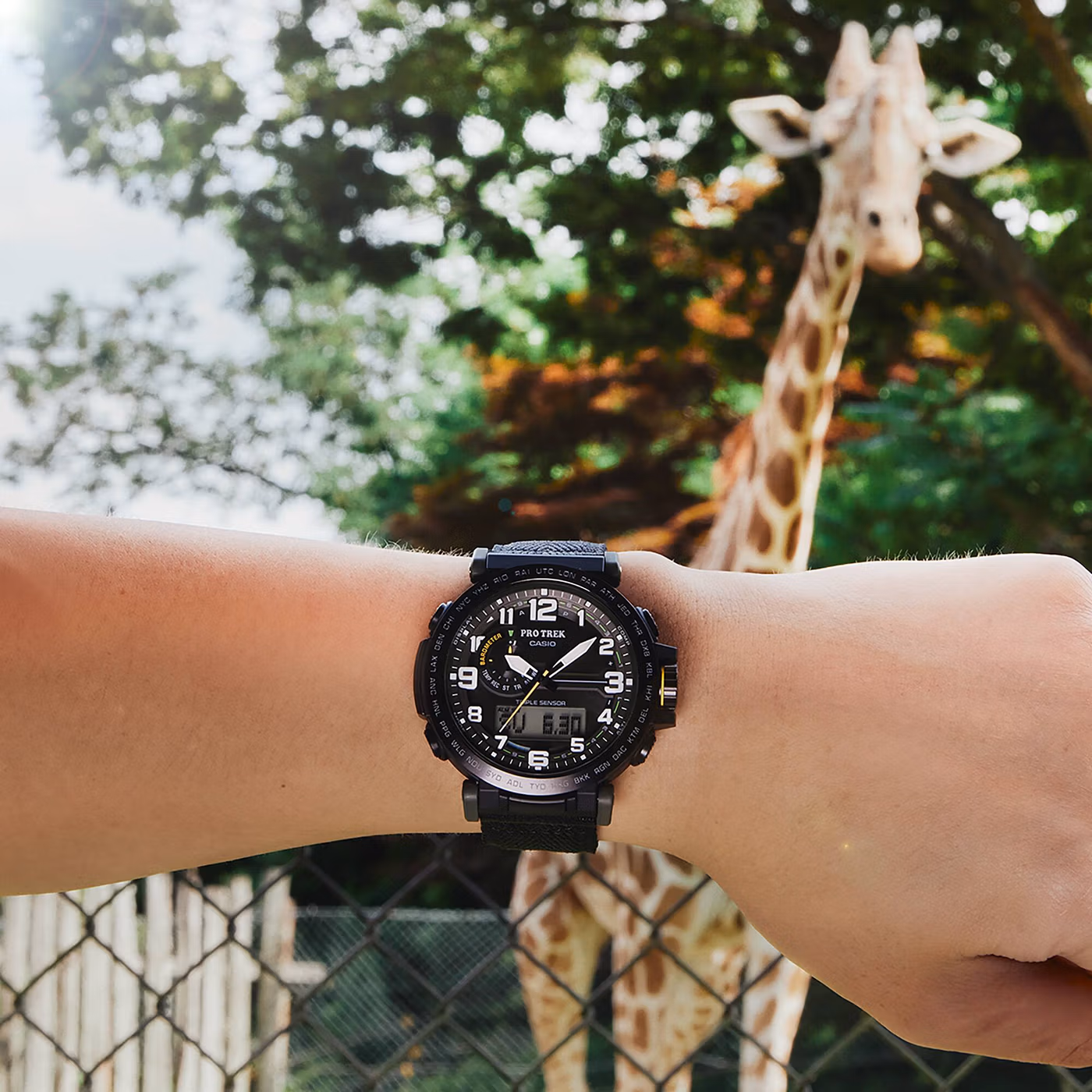 Casio PRG-601YB-3