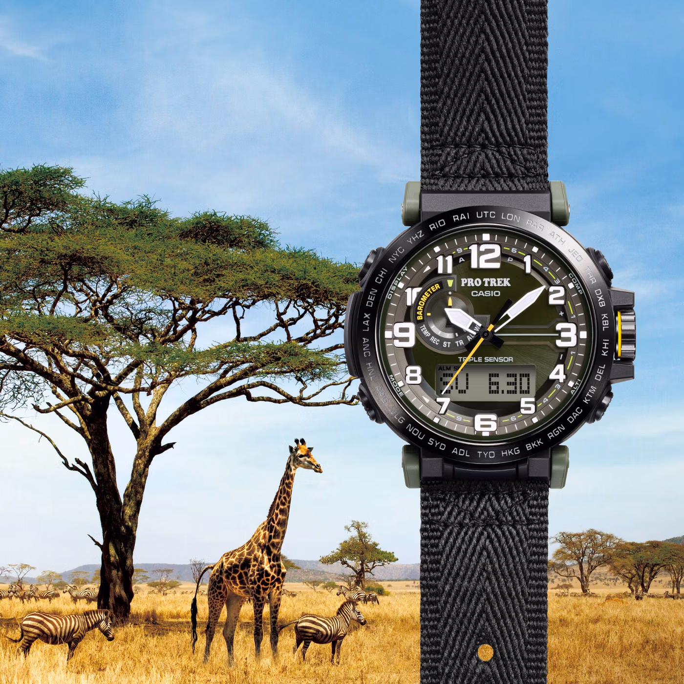 Casio PRG-601YB-3