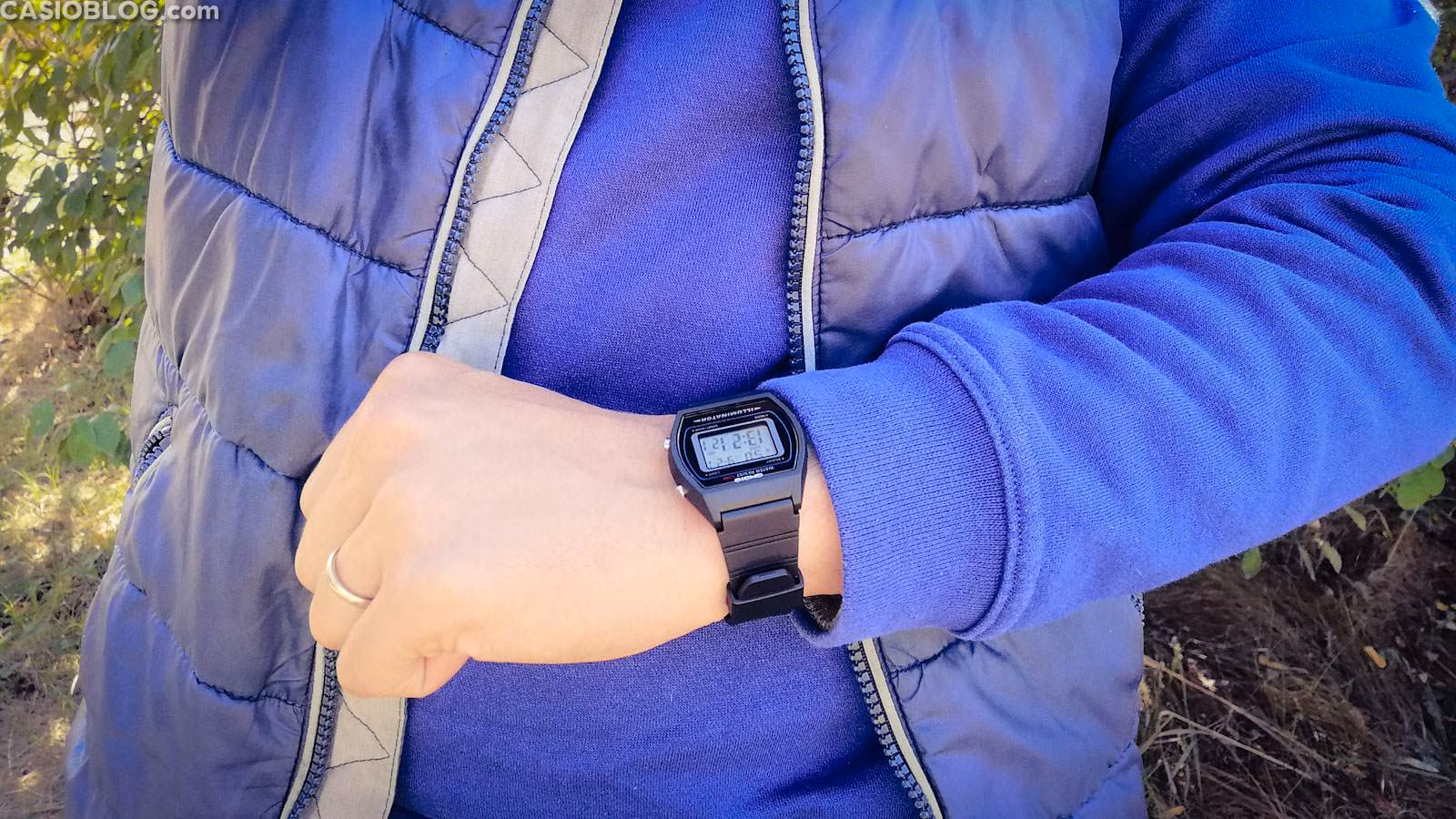 Casio W-202-1AV