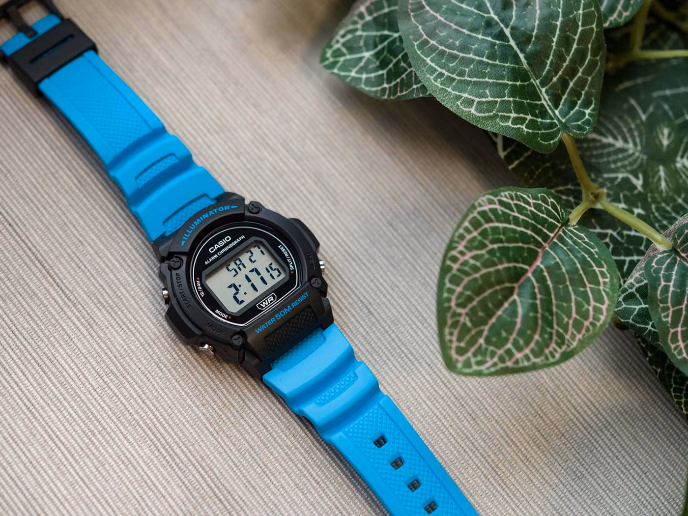 Casio W-219H-2A2V