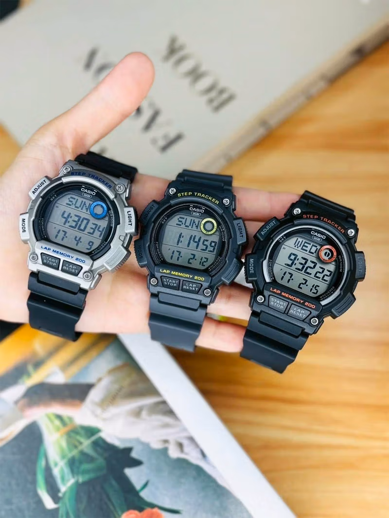 Casio WS-2100H-8A